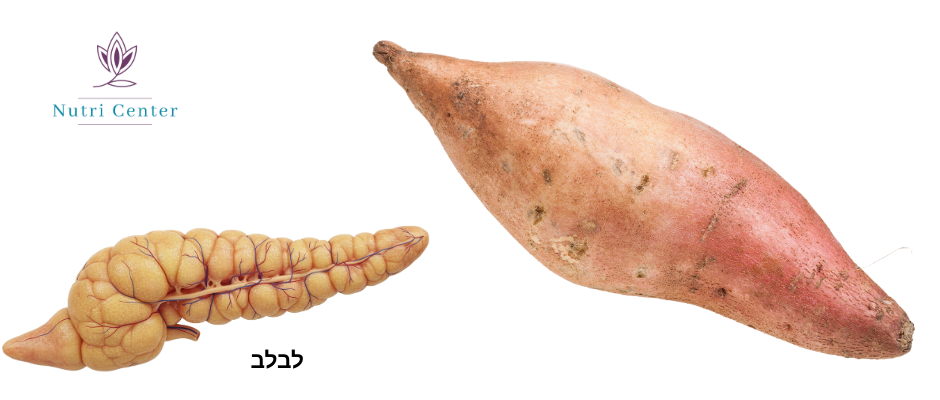 בטטה לבריאות הלבלב